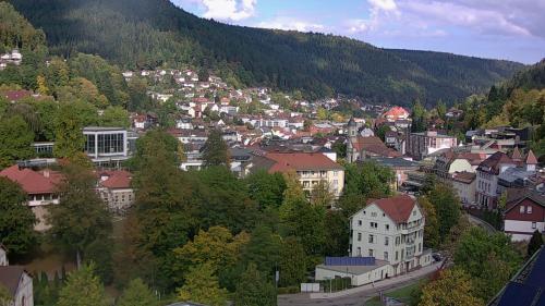 Webcam Bad Wildbad