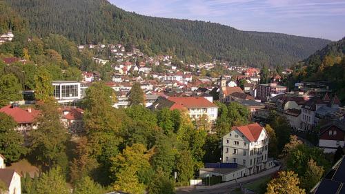 Webcam Bad Wildbad