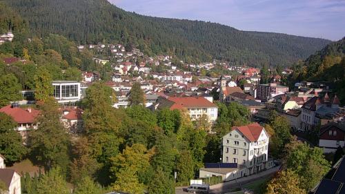 Webcam Bad Wildbad