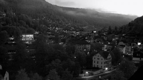 Webcam Bad Wildbad