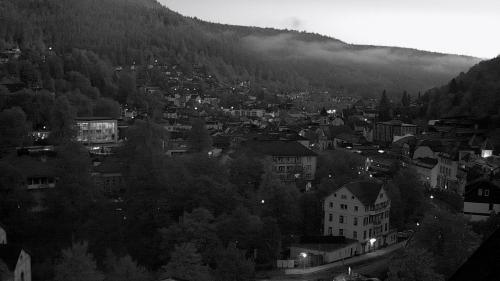 Webcam Bad Wildbad
