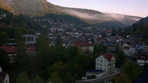 Webcam Bad Wildbad