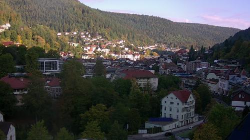 Webcam Bad Wildbad