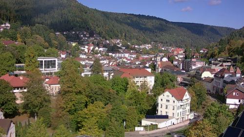 Webcam Bad Wildbad