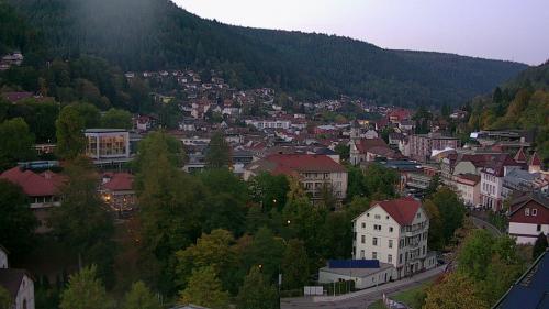Webcam Bad Wildbad