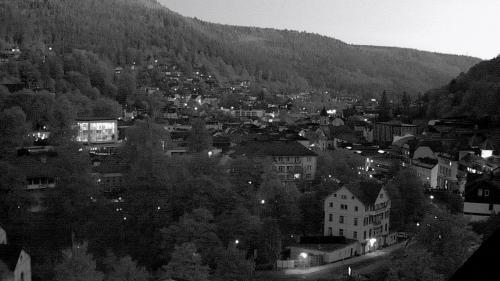 Webcam Bad Wildbad