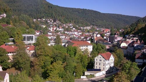 Webcam Bad Wildbad