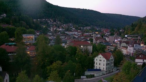 Webcam Bad Wildbad