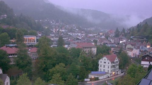 Webcam Bad Wildbad
