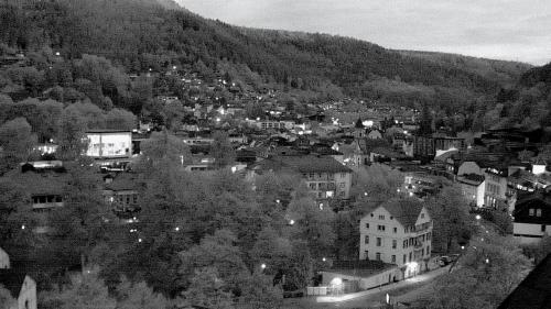 Webcam Bad Wildbad