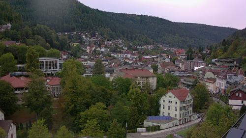 Webcam Bad Wildbad