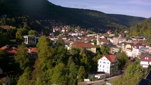 Webcam Bad Wildbad