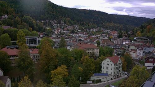 Webcam Bad Wildbad
