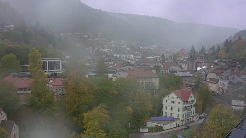 Webcam Bad Wildbad