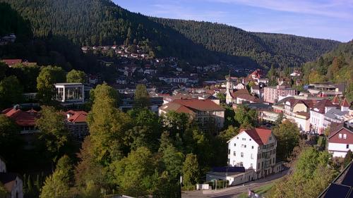 Webcam Bad Wildbad