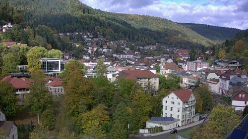 Webcam Bad Wildbad