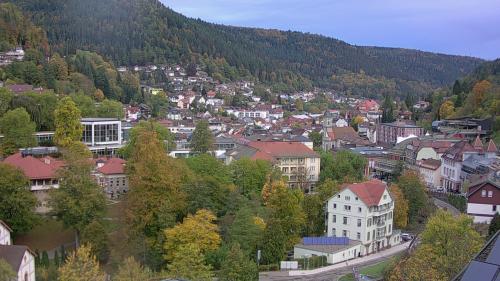 Webcam Bad Wildbad