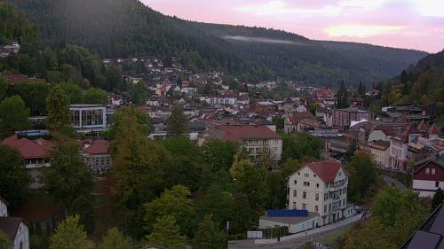 Webcam Bad Wildbad