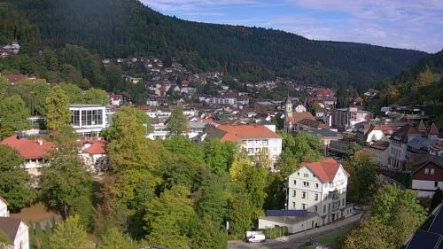 Webcam Bad Wildbad