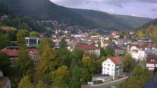 Webcam Bad Wildbad