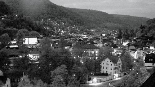 Webcam Bad Wildbad