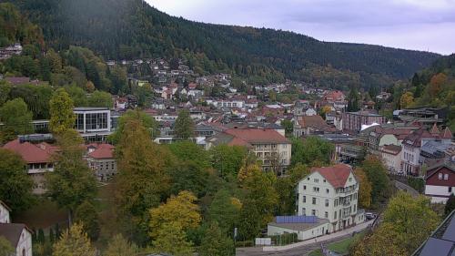 Webcam Bad Wildbad