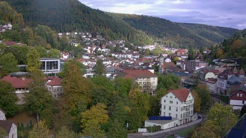Webcam Bad Wildbad