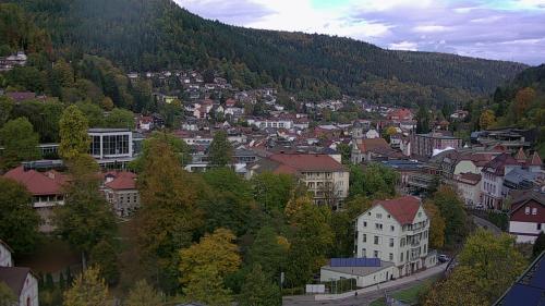 Webcam Bad Wildbad