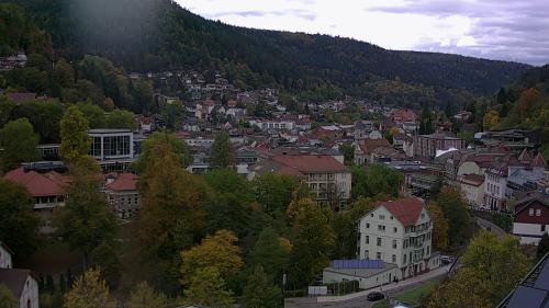 Webcam Bad Wildbad