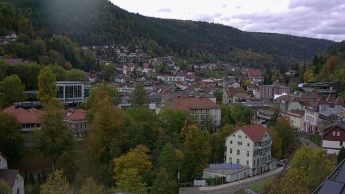 Webcam Bad Wildbad