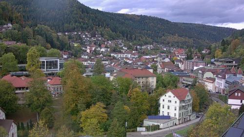 Webcam Bad Wildbad