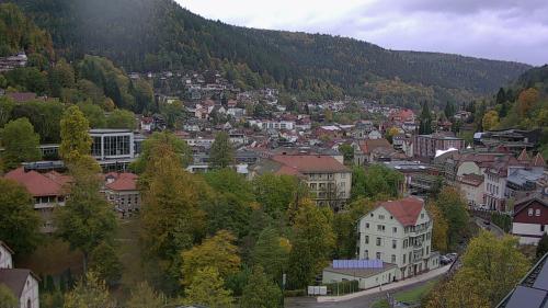 Webcam Bad Wildbad