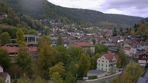 Webcam Bad Wildbad