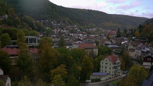 Webcam Bad Wildbad