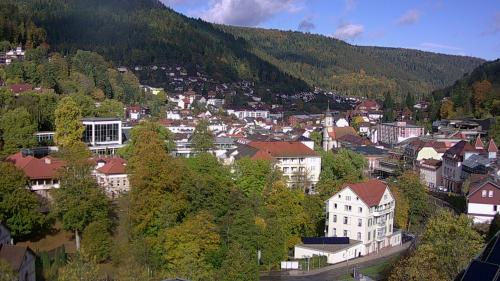 Webcam Bad Wildbad