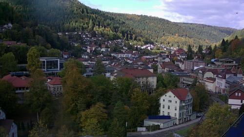 Webcam Bad Wildbad