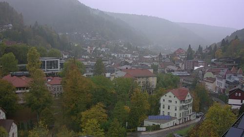 Webcam Bad Wildbad