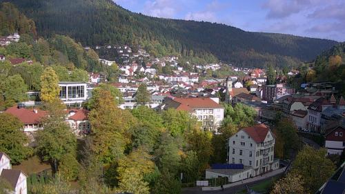 Webcam Bad Wildbad