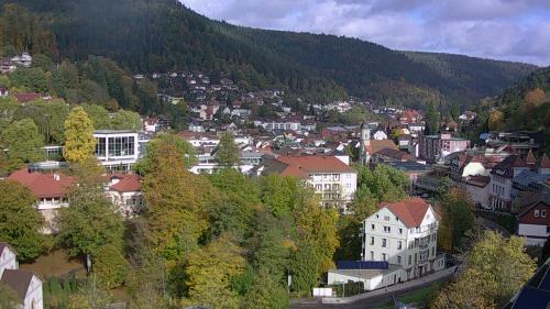 Webcam Bad Wildbad