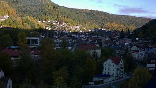 Webcam Bad Wildbad