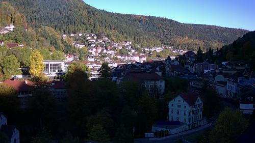 Webcam Bad Wildbad