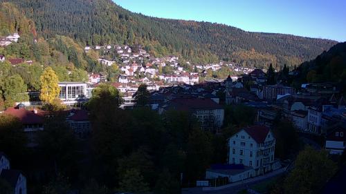 Webcam Bad Wildbad