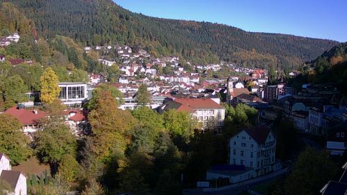 Webcam Bad Wildbad