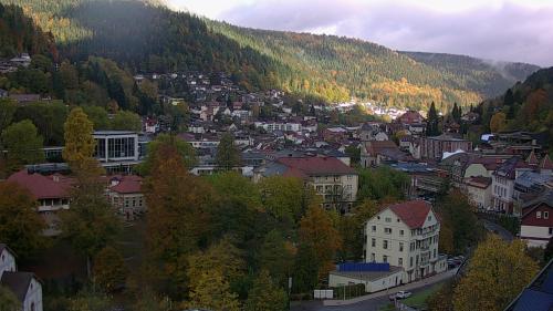 Webcam Bad Wildbad