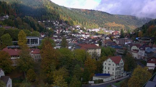 Webcam Bad Wildbad