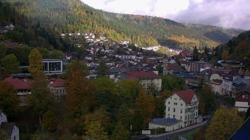 Webcam Bad Wildbad