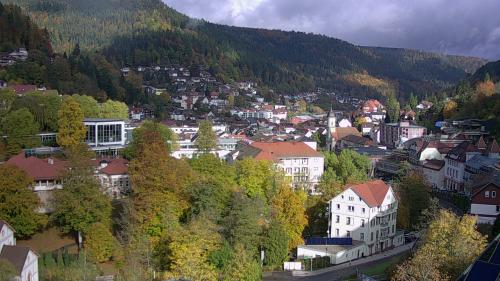 Webcam Bad Wildbad