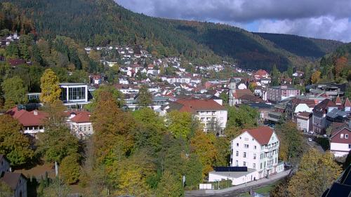 Webcam Bad Wildbad