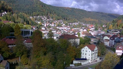 Webcam Bad Wildbad