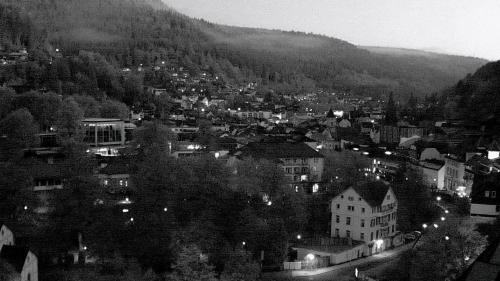 Webcam Bad Wildbad